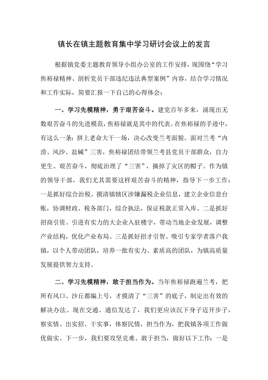 镇长在镇主题教育集中学习研讨会议上的发言范文.docx_第1页