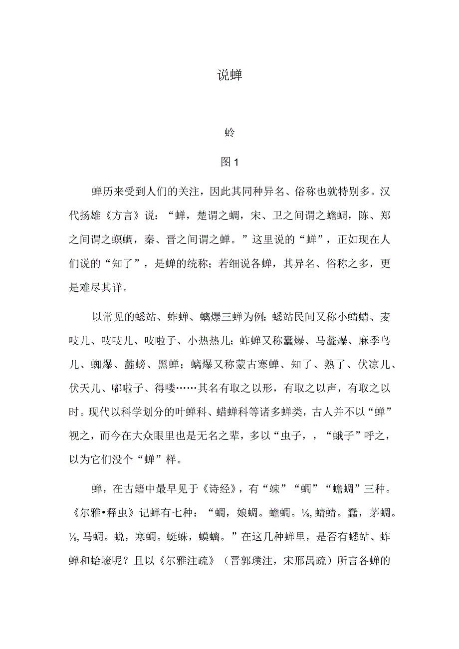 说蝉 藤萝飞燕（中国画）.docx_第1页