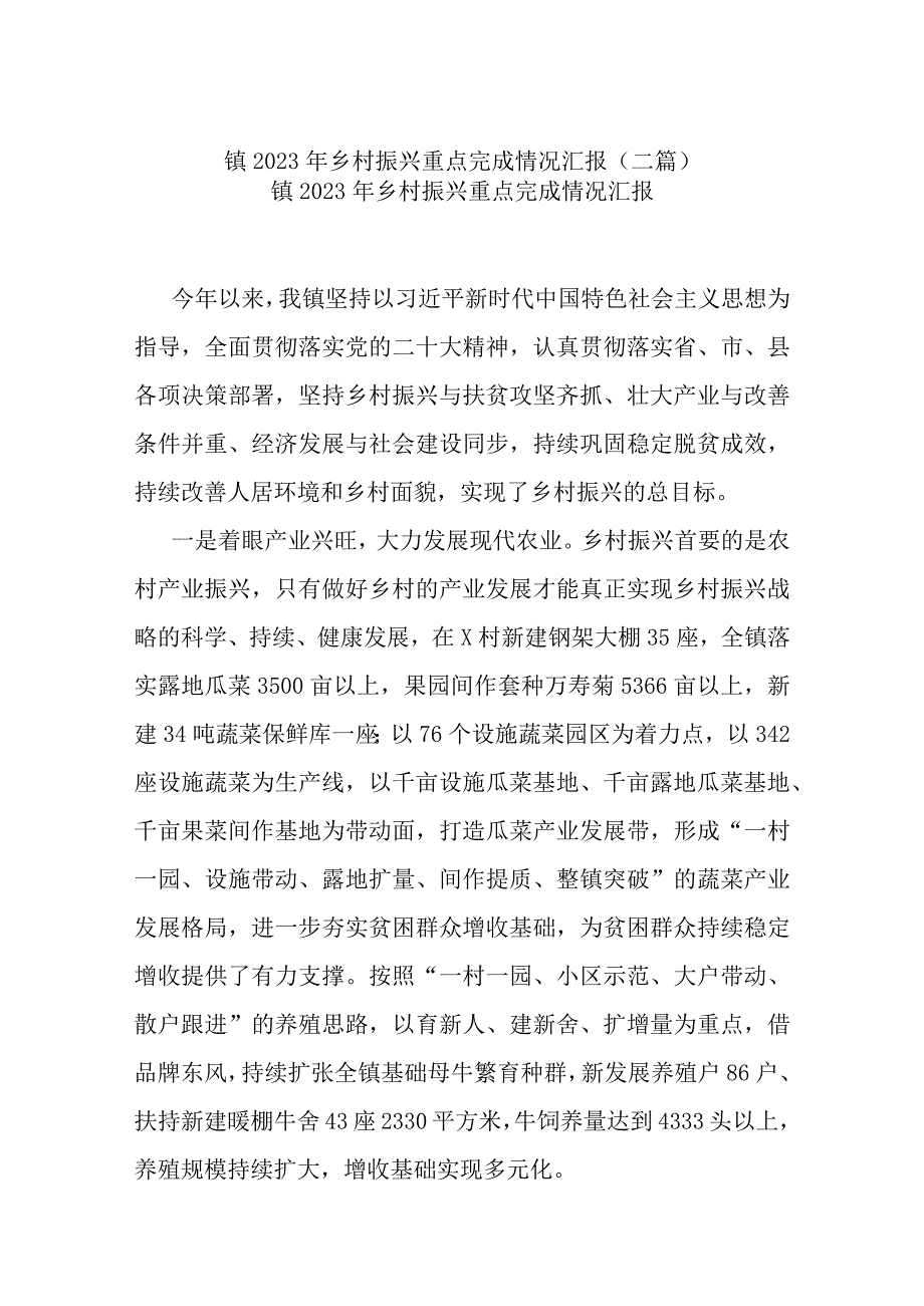 镇2023年乡村振兴重点完成情况汇报(二篇).docx_第1页