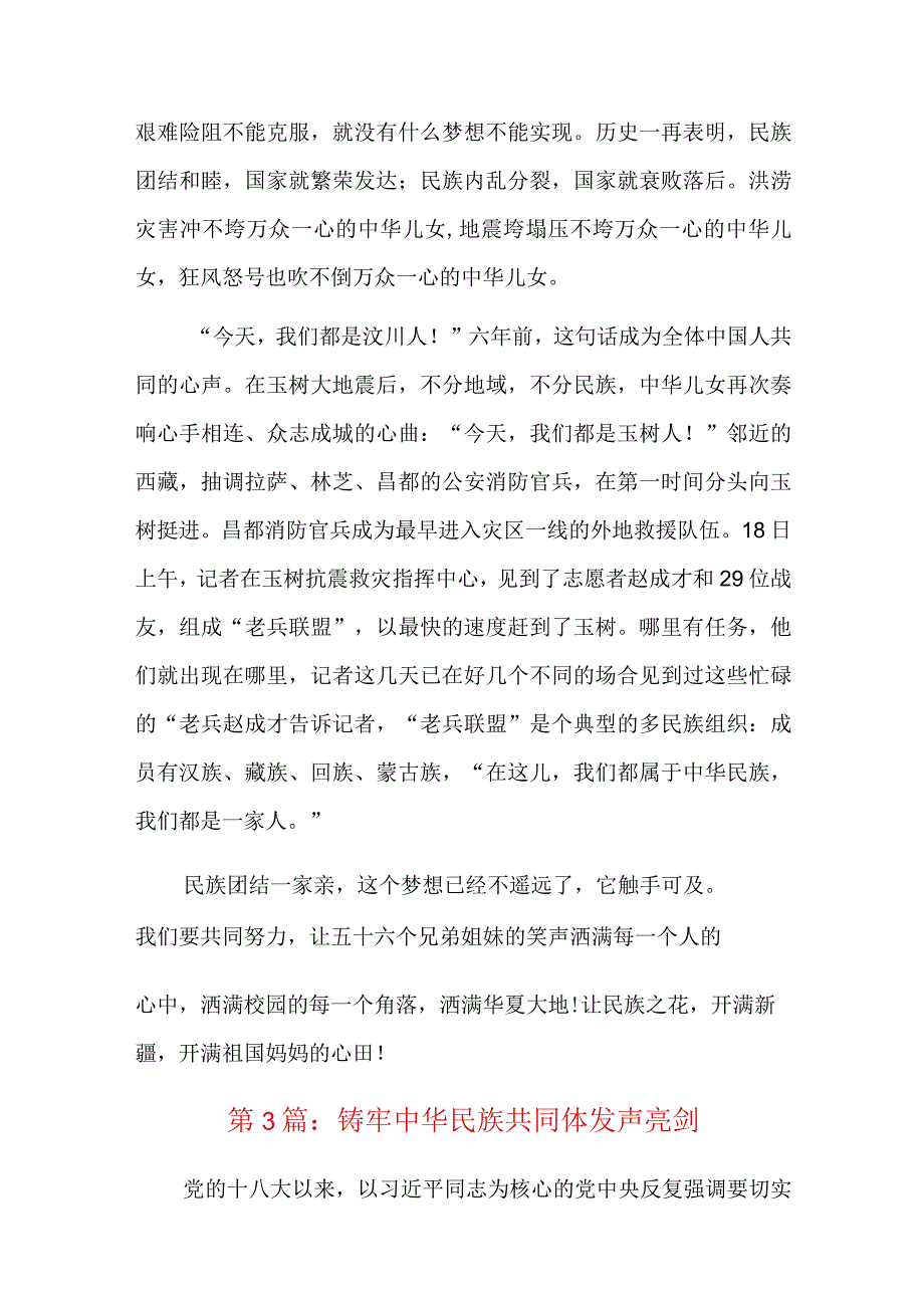 铸牢中华民族共同体发声亮剑六篇.docx_第3页