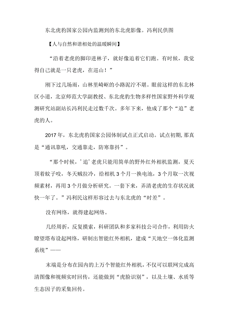 迎丰收 “追”老虎.docx_第2页