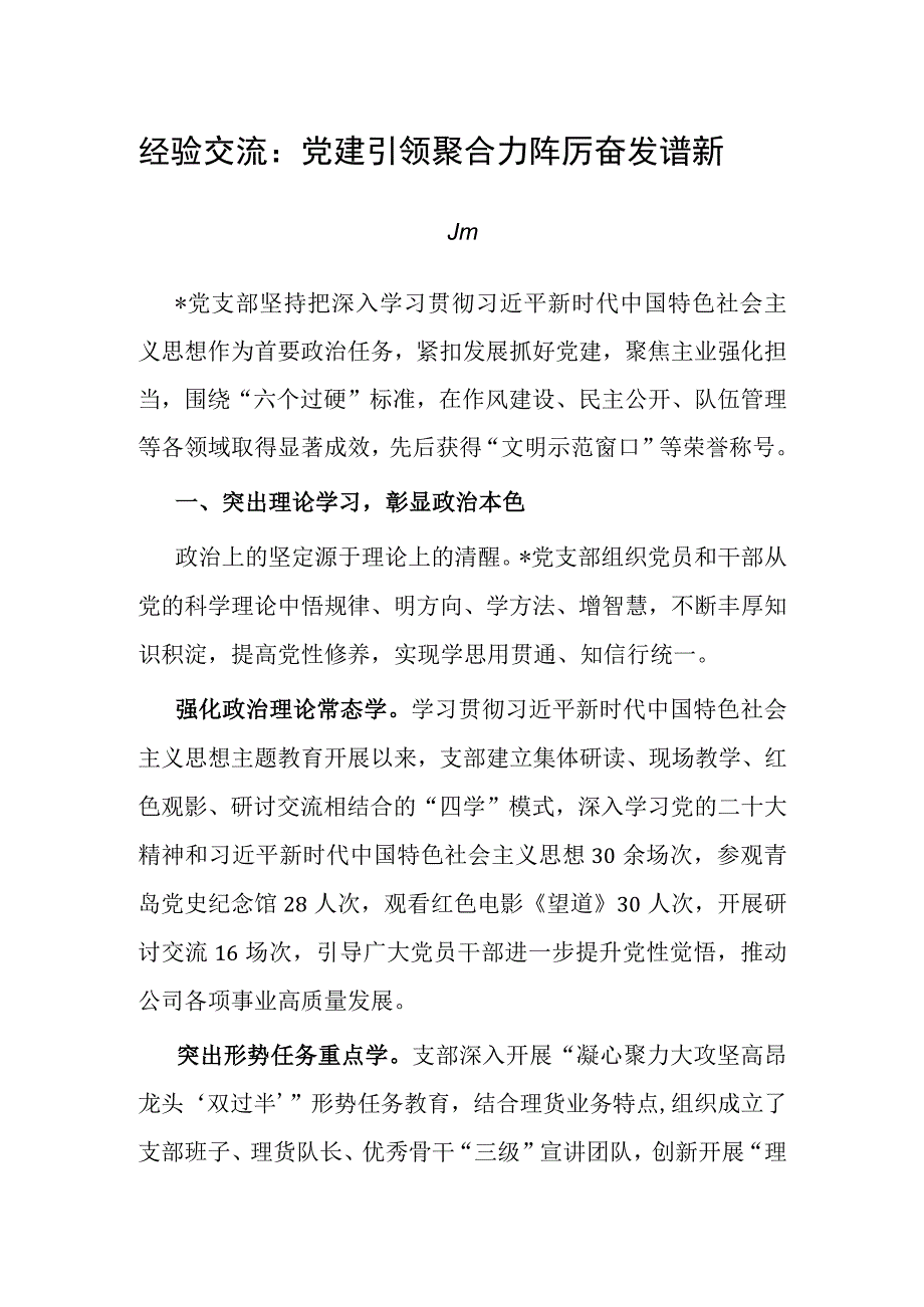 经验材料：党建引领聚合力 踔厉奋发谱新篇.docx_第1页