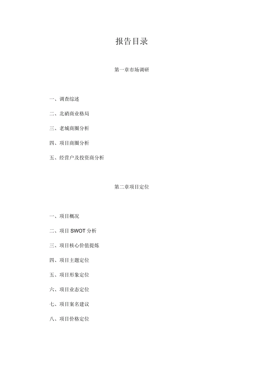 重庆畔溪名都商业策划案.docx_第2页