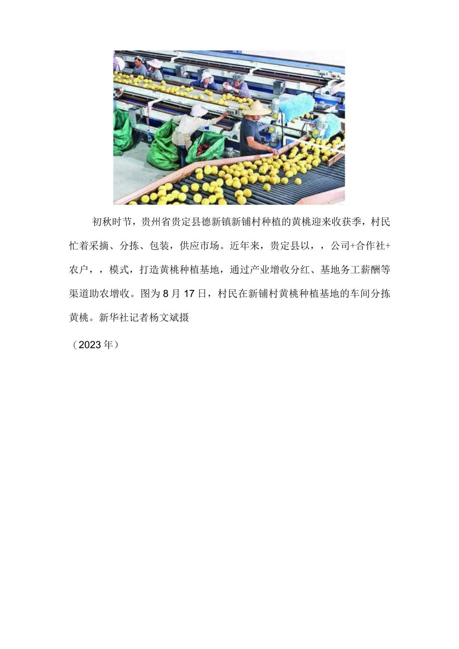 重庆渝中：推进新时代文明实践服务提档升级.docx_第3页