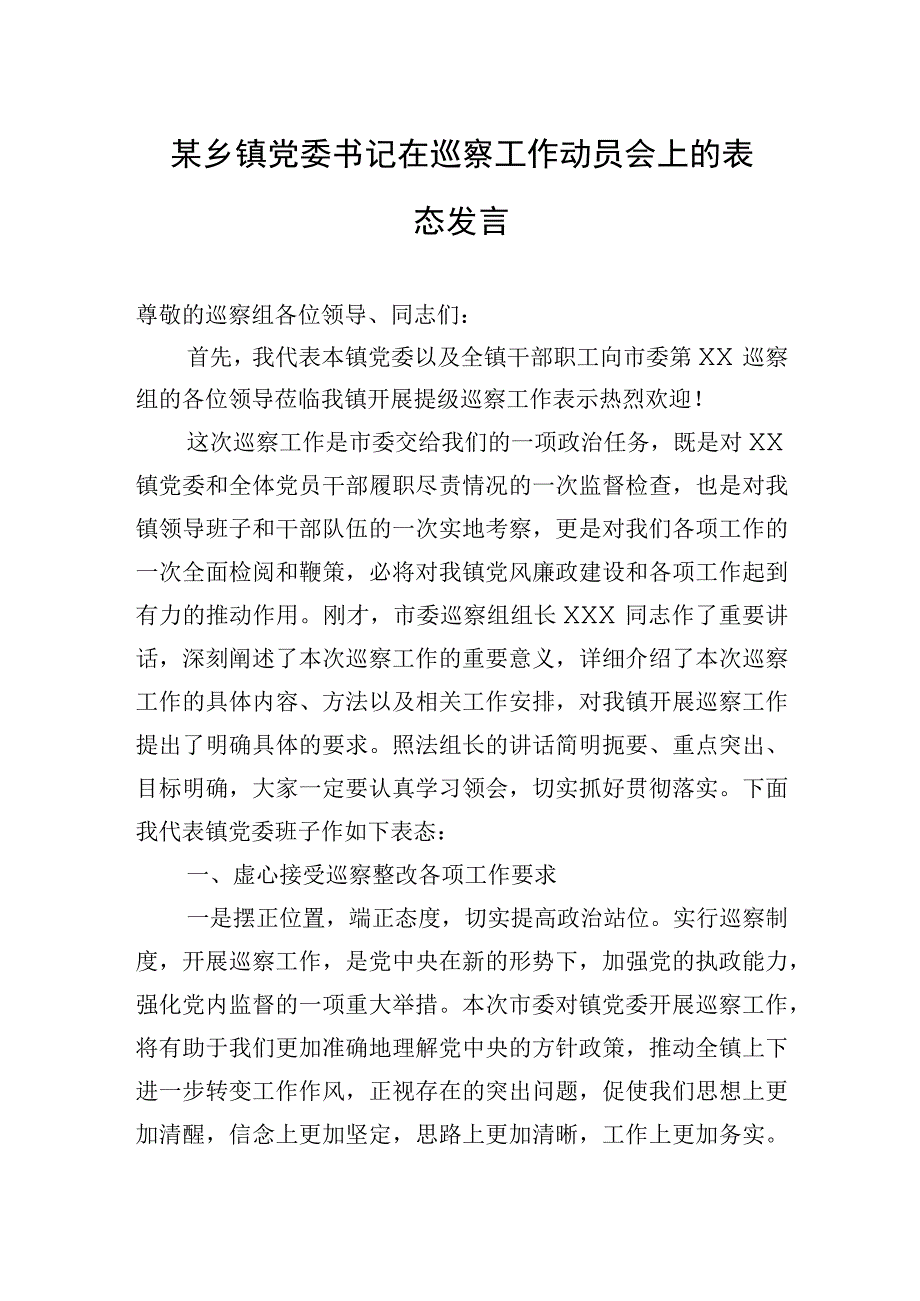 2023年某乡镇党委书记在巡察工作动员会上的表态发言.docx_第1页