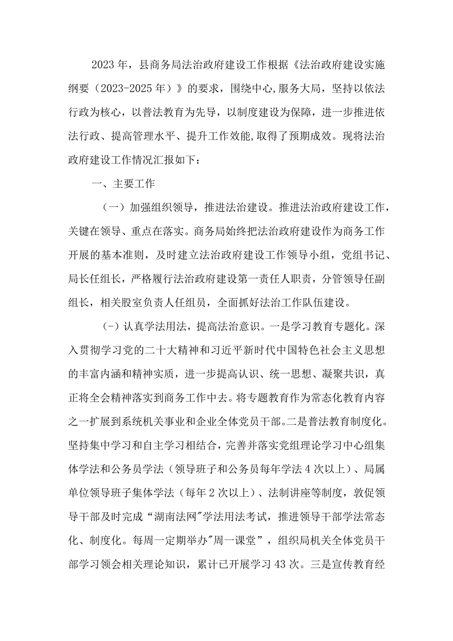 2023年度法治政府建设工作报告.docx_第1页