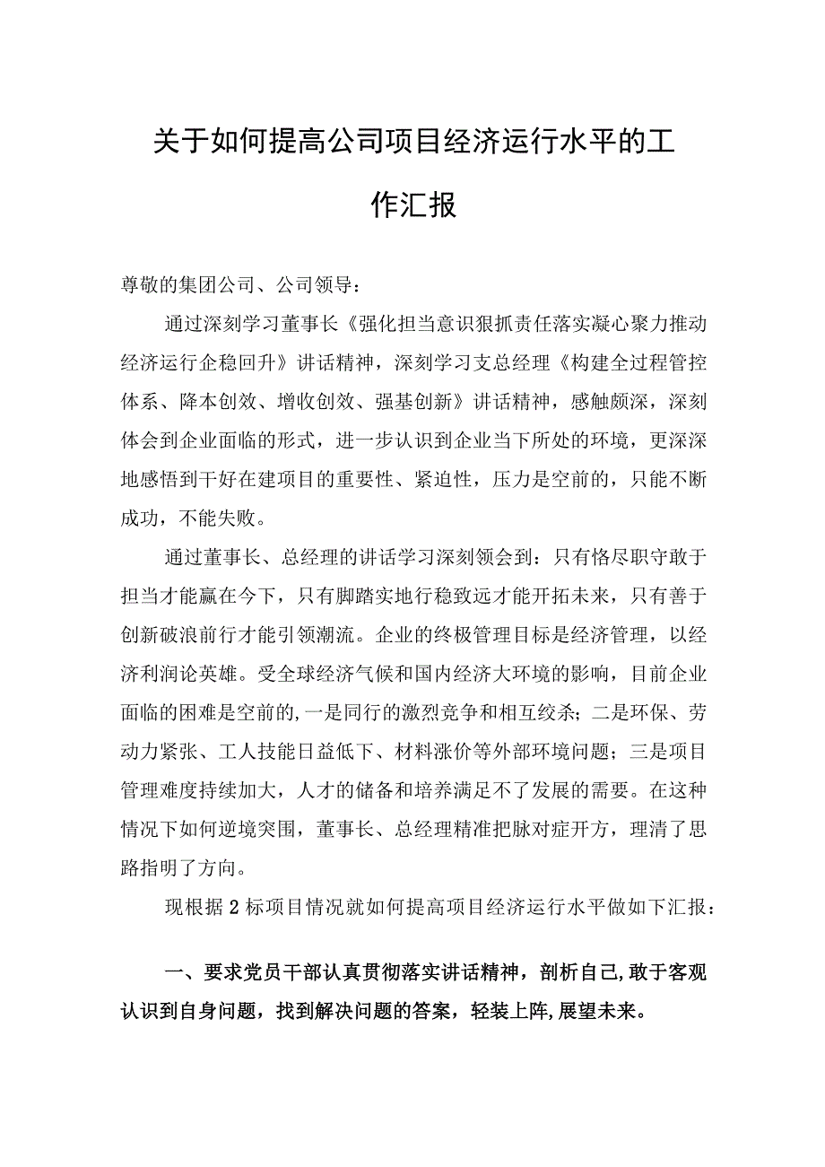 2023年关于如何提高公司项目经济运行水平的工作汇报.docx_第1页