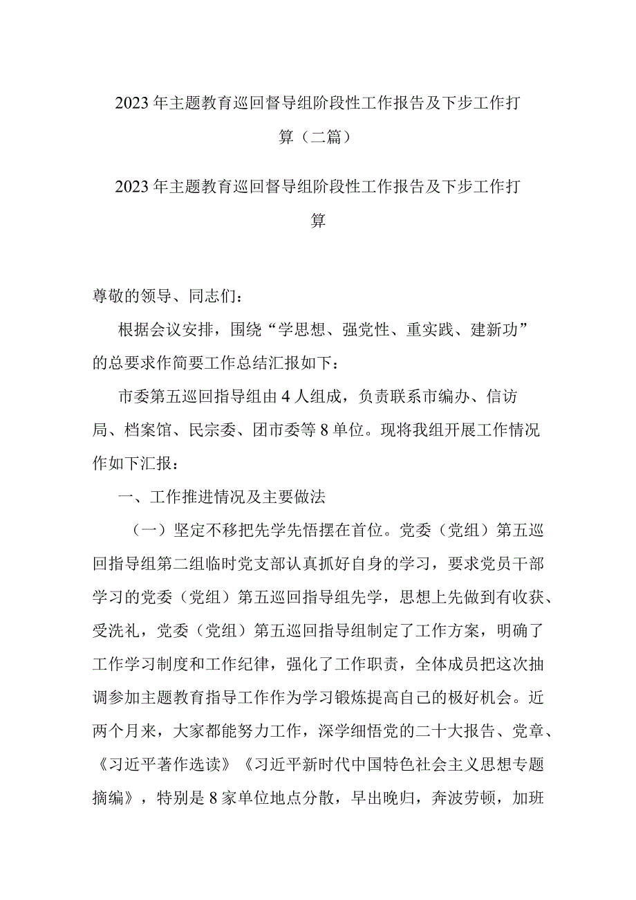 2023年主题教育巡回督导组阶段性工作报告及下步工作打算(二篇).docx_第1页