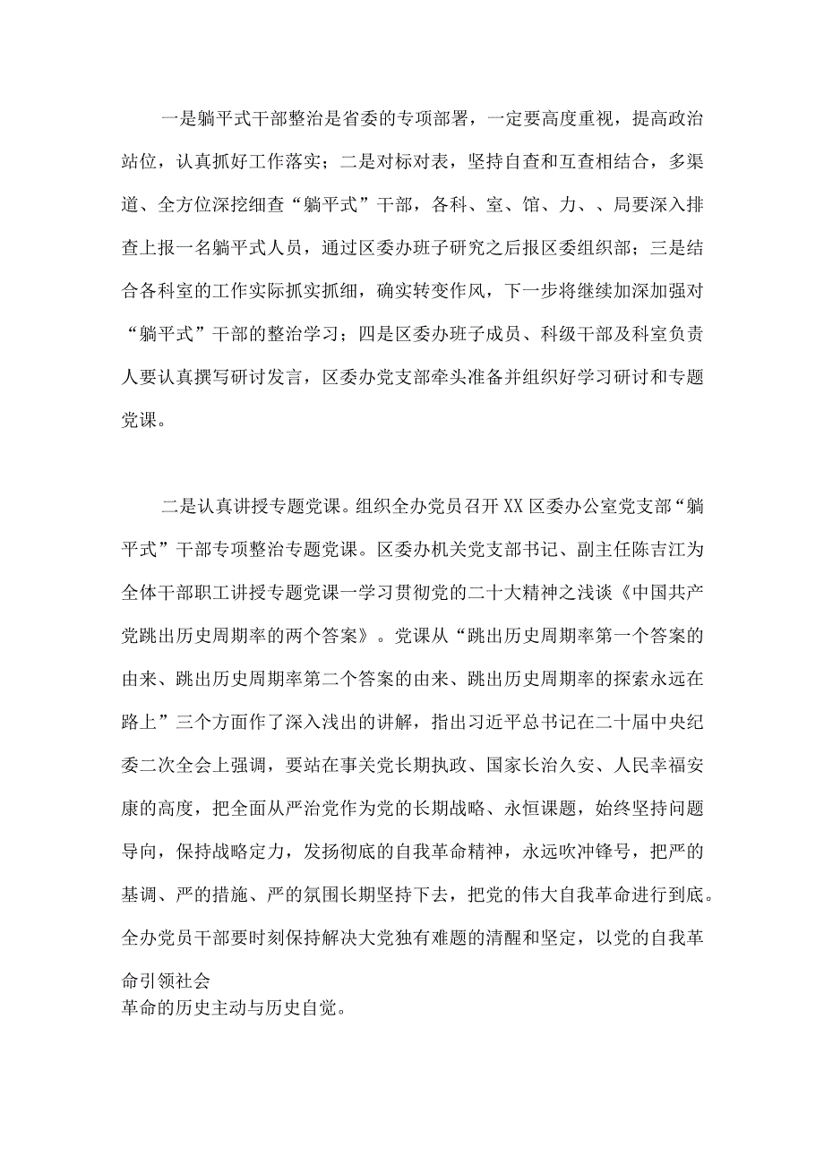 2023年开展“躺平式干部整治工作情况汇报总结、发言材料（共四篇）.docx_第2页