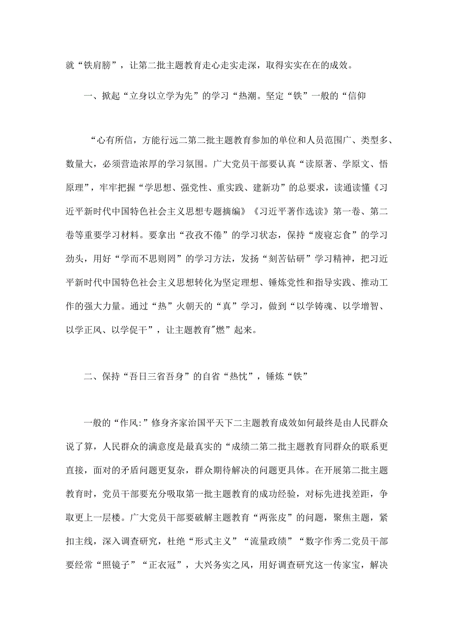 2023年第二批主题教育专题研讨发言材料、学习心得、实施方案【五篇】供参考.docx_第2页