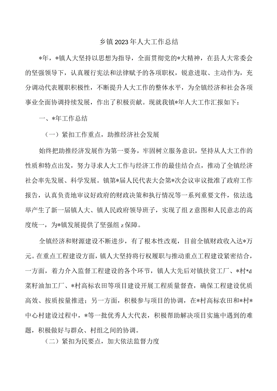 乡镇2023年人大工作总结.docx_第1页