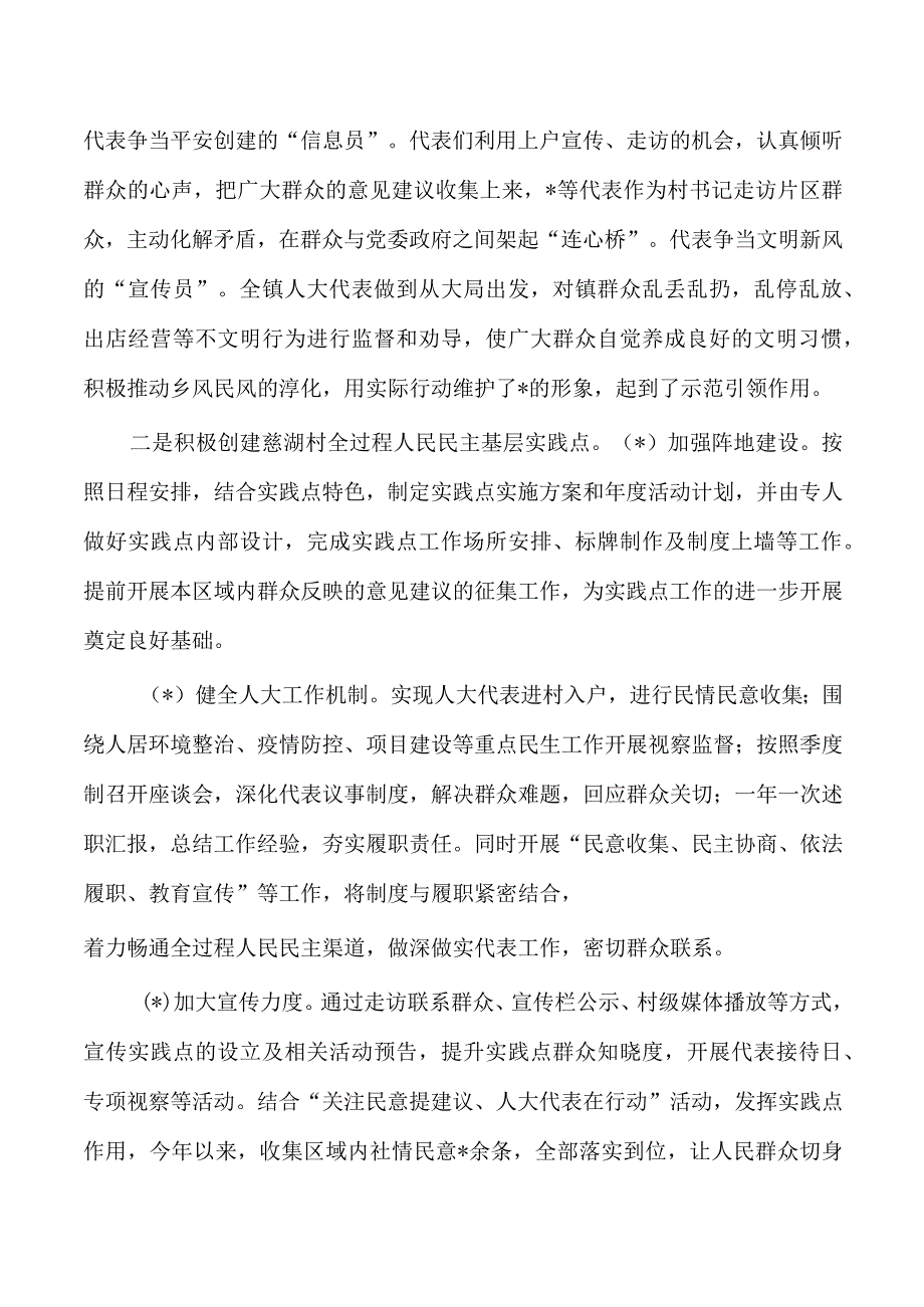 乡镇2023年人大工作总结.docx_第3页