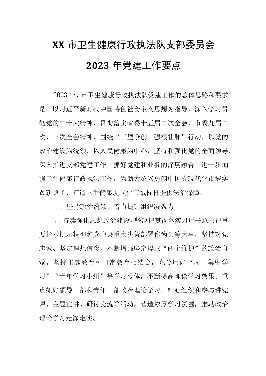 XX市卫生健康行政执法队支部委员会2023年党建工作要点.docx_第1页