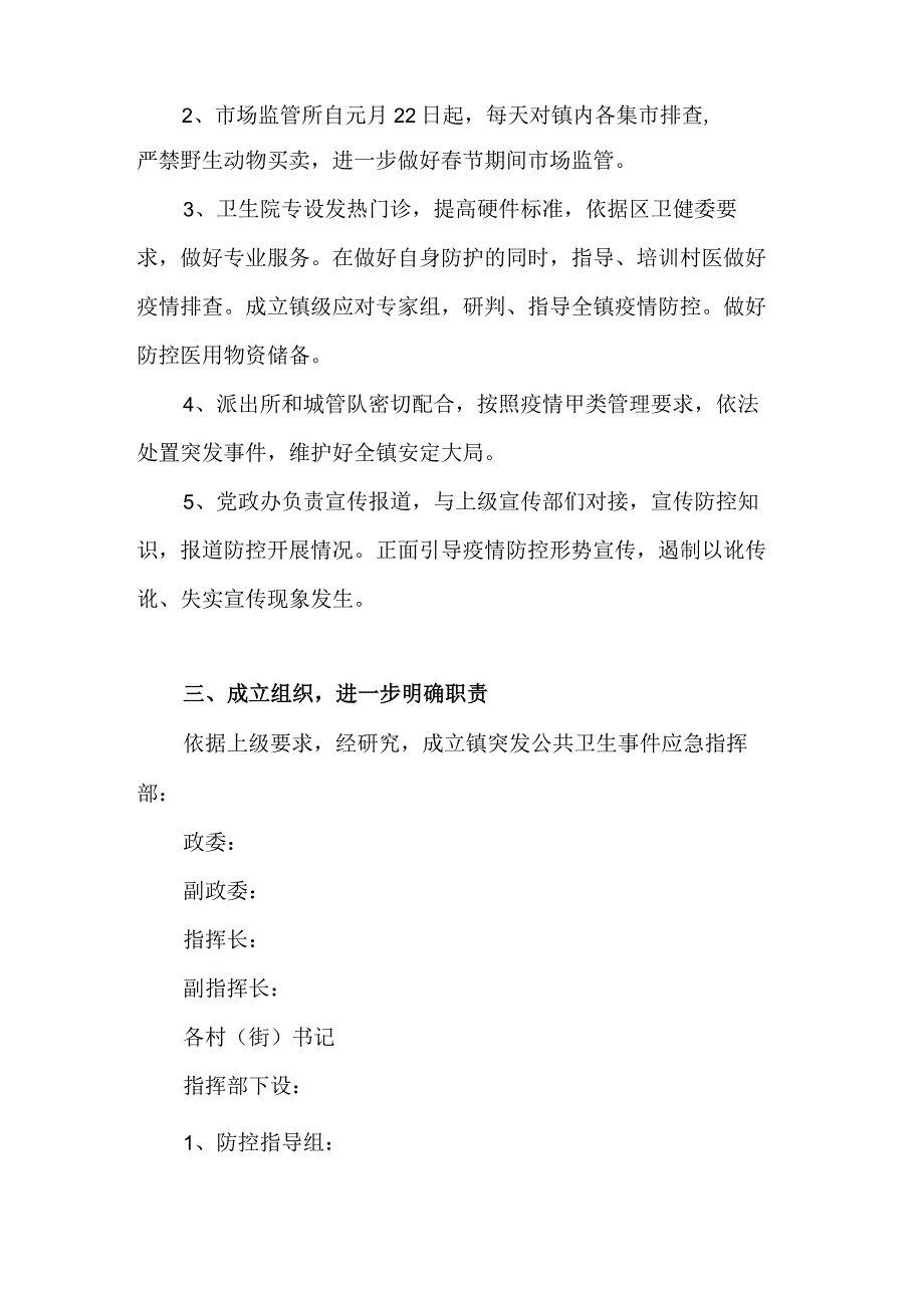 乡镇大型活动安全应急方案.docx_第2页