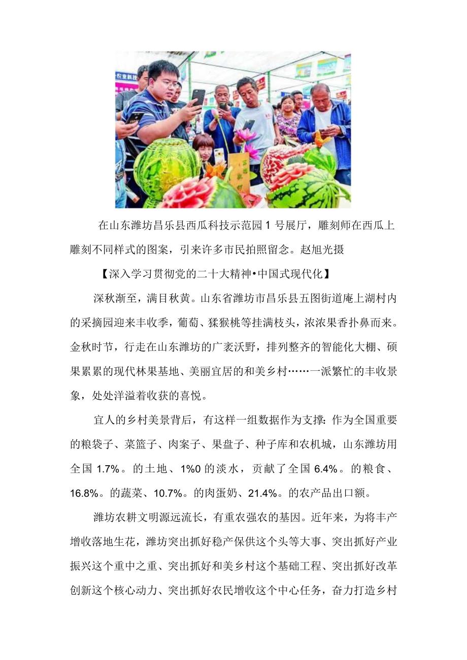 丰产增收落地生花——山东潍坊探索建设农业强市新路径.docx_第2页