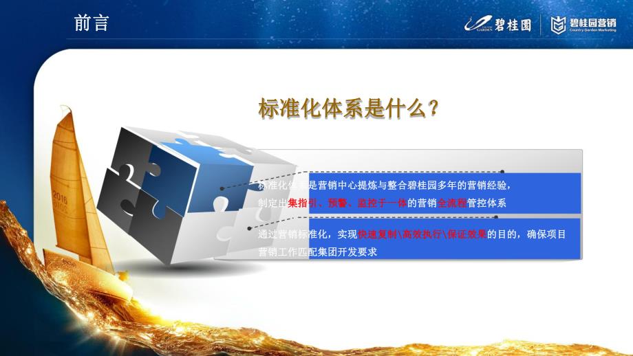 碧桂园标准化营销策略.ppt_第2页