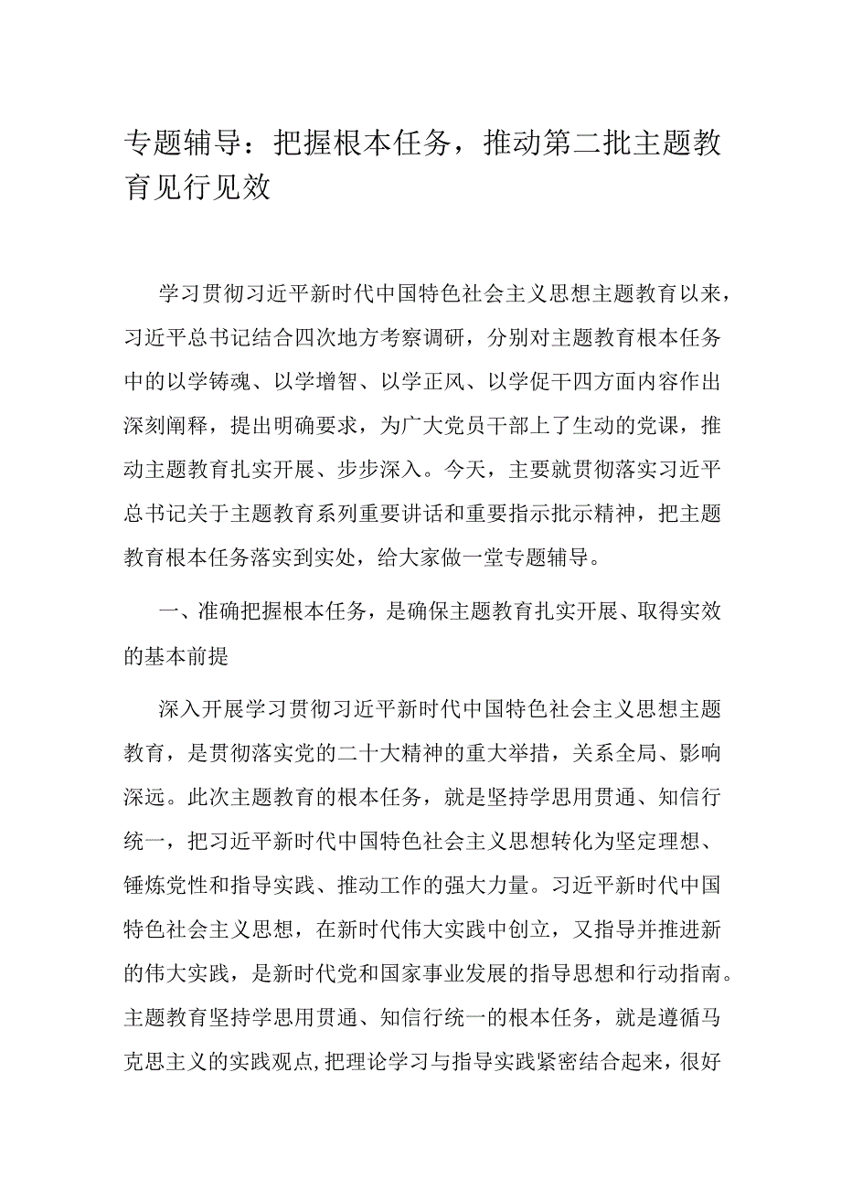 专题辅导：把握根本任务推动第二批主题教育见行见效.docx_第1页