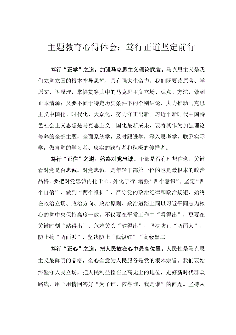 主题教育心得体会：笃行正道坚定前行.docx_第1页