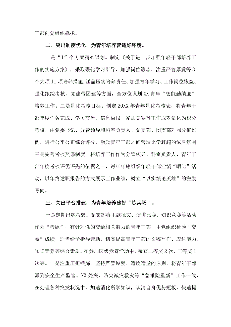 人才培养工作典型经验.docx_第2页