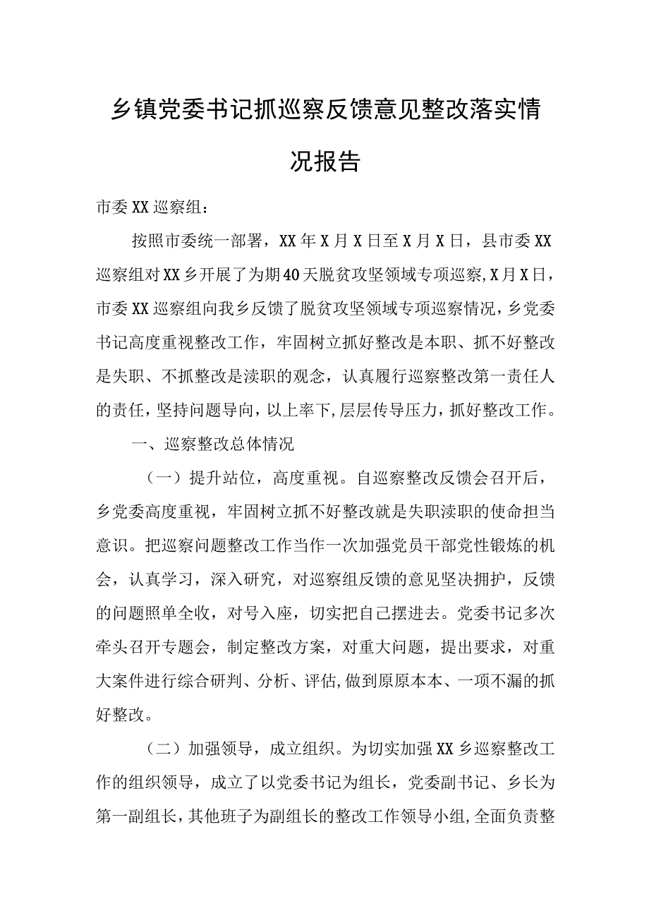 乡镇党委书记抓巡察反馈意见整改落实情况报告.docx_第1页