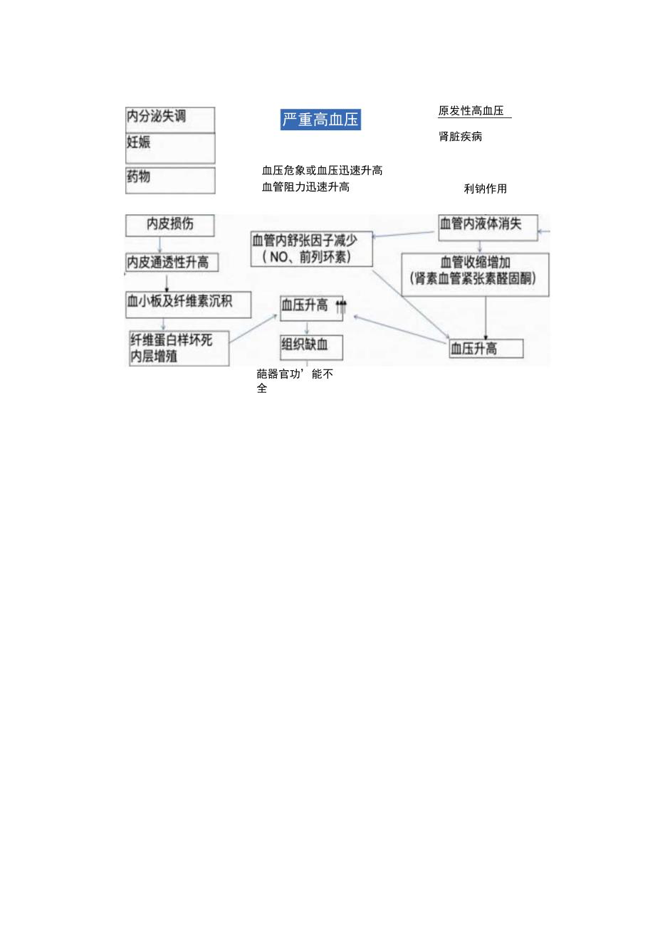 2023高血压危象的患者的紧急处理措施.docx_第3页