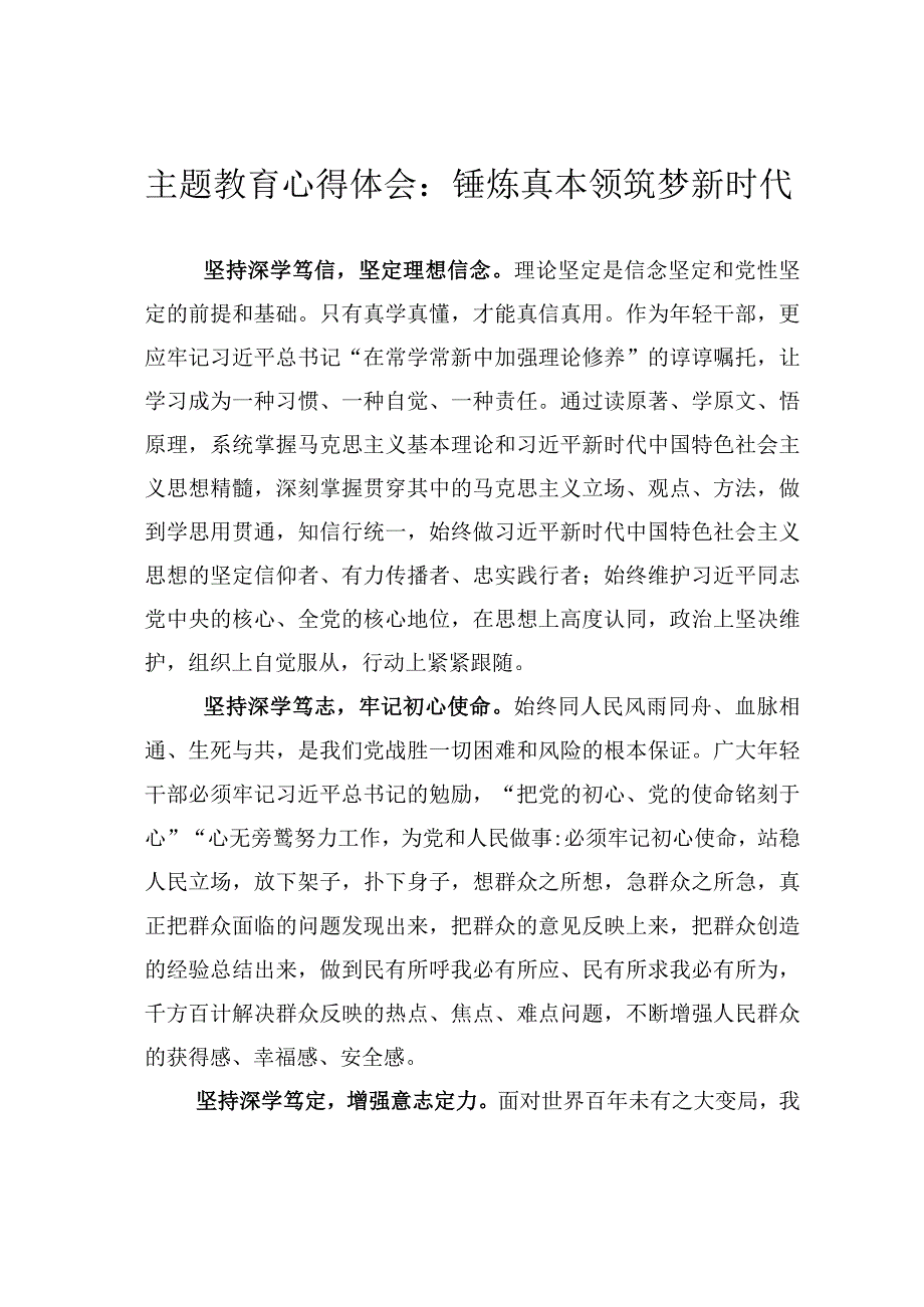 主题教育心得体会：锤炼真本领筑梦新时代.docx_第1页