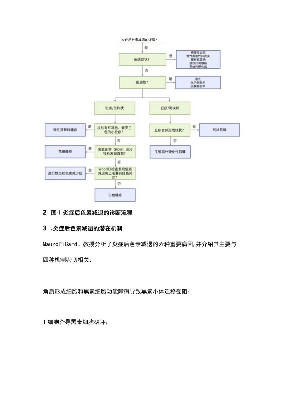 2023炎症后色素减退的病因、诊断和治疗.docx_第2页