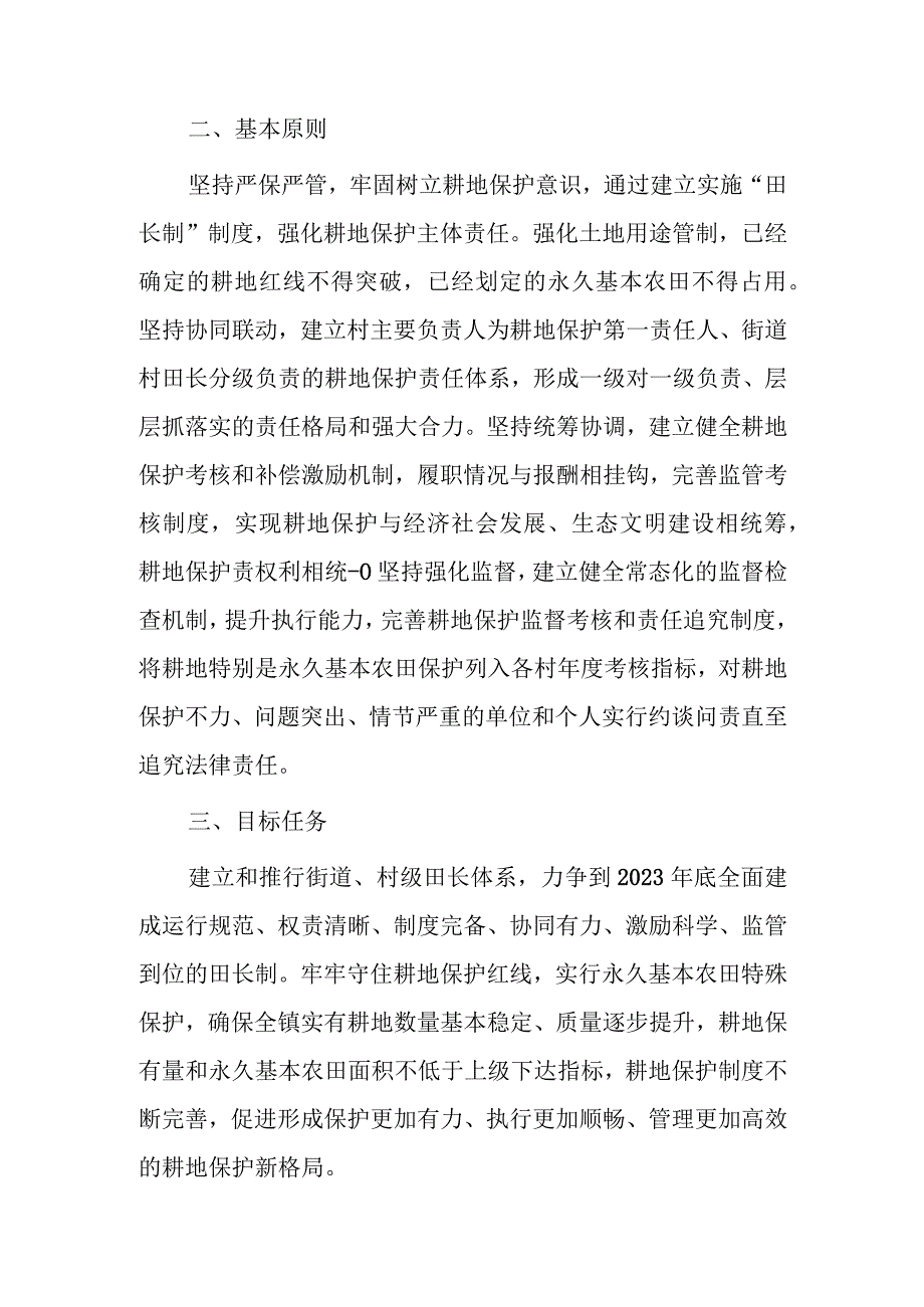 xx街道田长制工作实施方案.docx_第2页