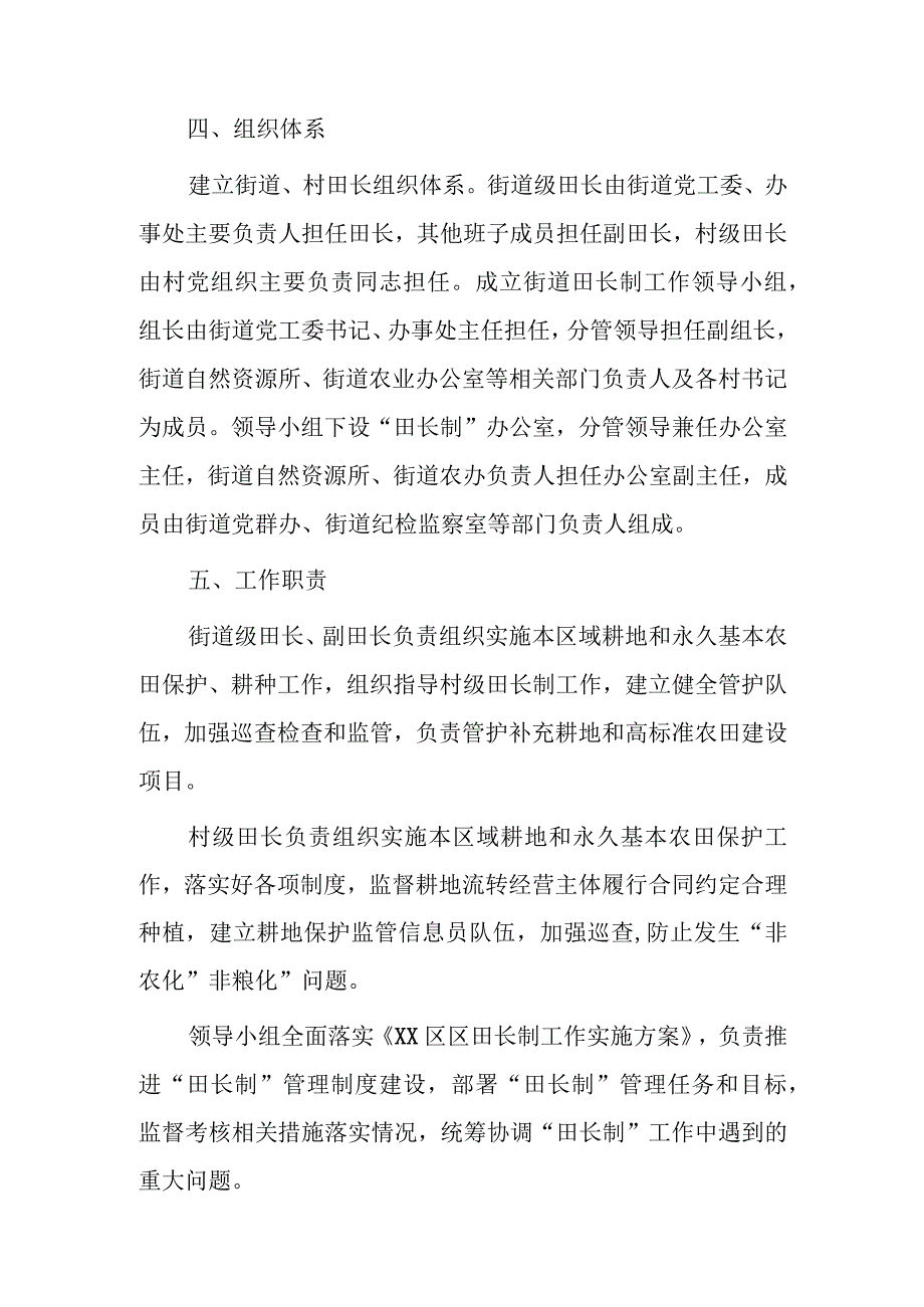 xx街道田长制工作实施方案.docx_第3页