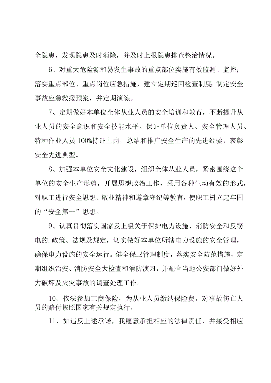 企业安全生产承诺书范文.docx_第2页