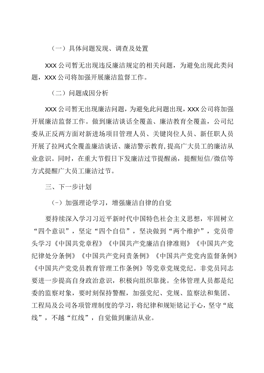 公司廉洁专项自查自纠情况报告.docx_第2页