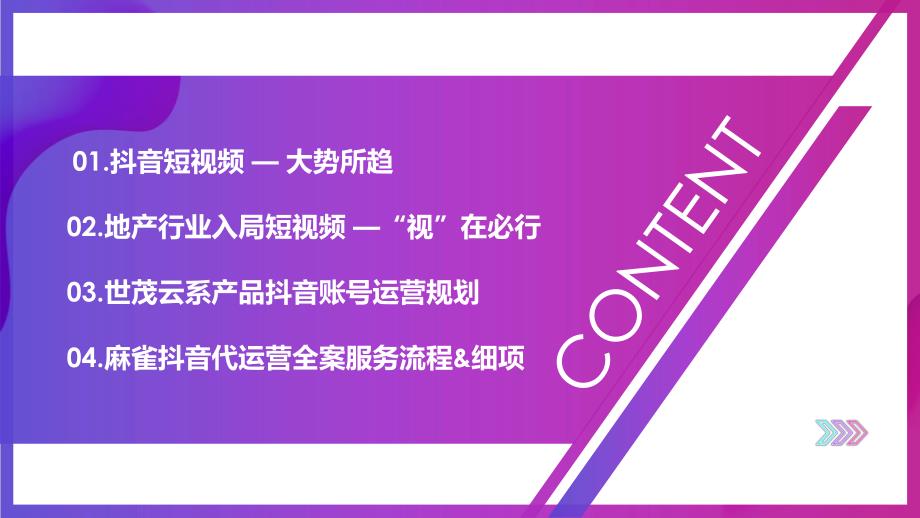 房地产线上短视频“社交新“视”力”运营方案.pptx_第2页