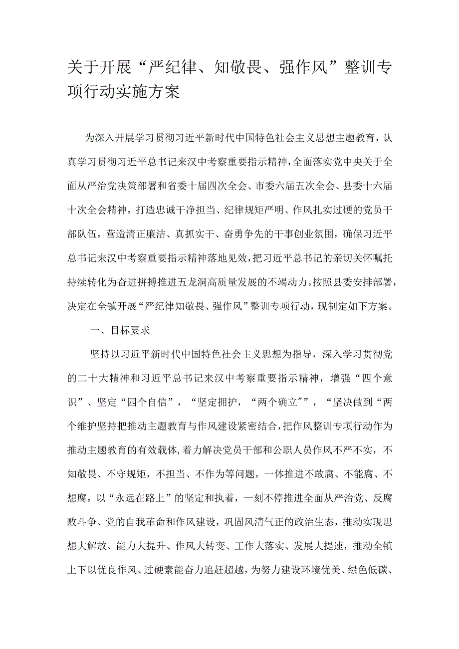 关于开展“严纪律、知敬畏、强作风”整训专项行动实施方案.docx_第1页