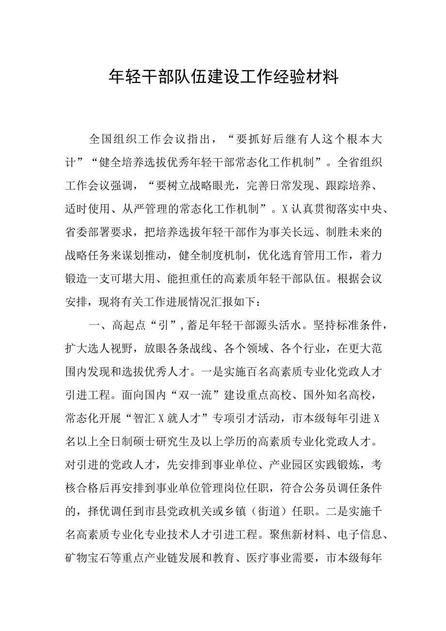 某市2023年关于年轻干部队伍建设工作经验材料.docx_第1页