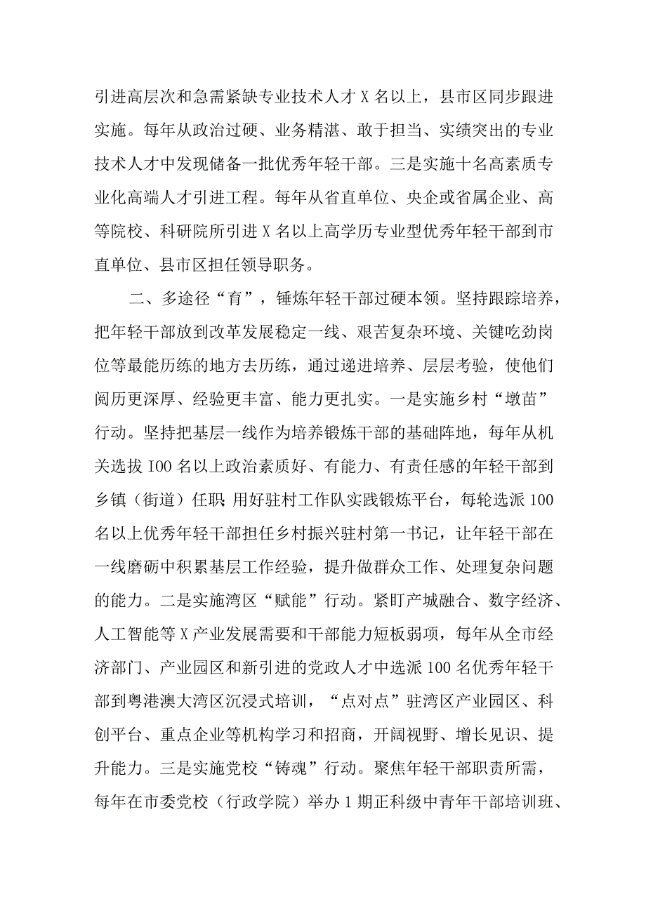 某市2023年关于年轻干部队伍建设工作经验材料.docx_第2页