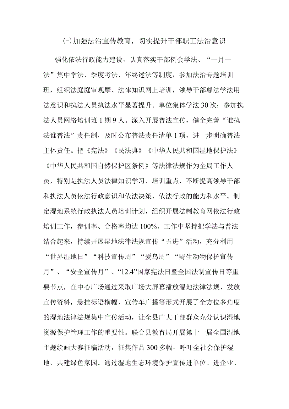 2023局党政负责人履行推进法治建设第一责任人职责情况的报告范文.docx_第2页