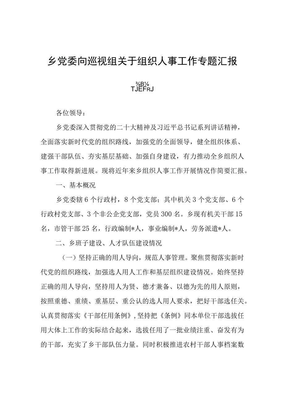 乡党委向巡视组关于组织人事工作专题汇报提高.docx_第1页