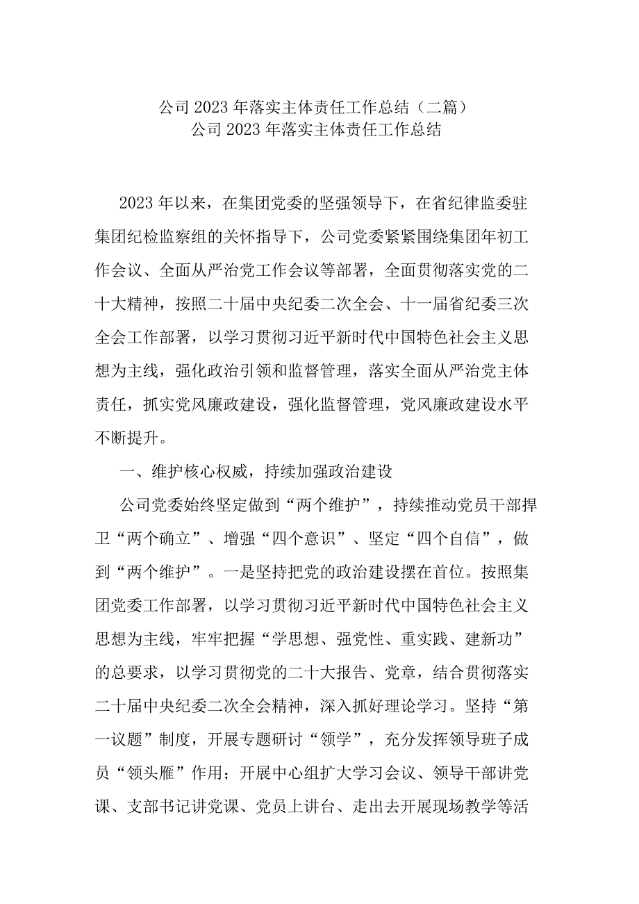 公司2023年落实主体责任工作总结(二篇).docx_第1页