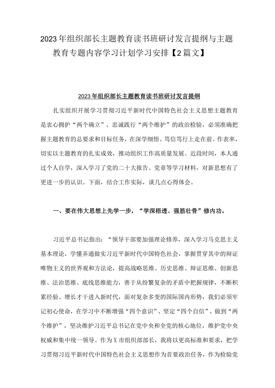 2023年组织部长主题教育读书班研讨发言提纲与主题教育专题内容学习计划学习安排【2篇文】.docx_第1页