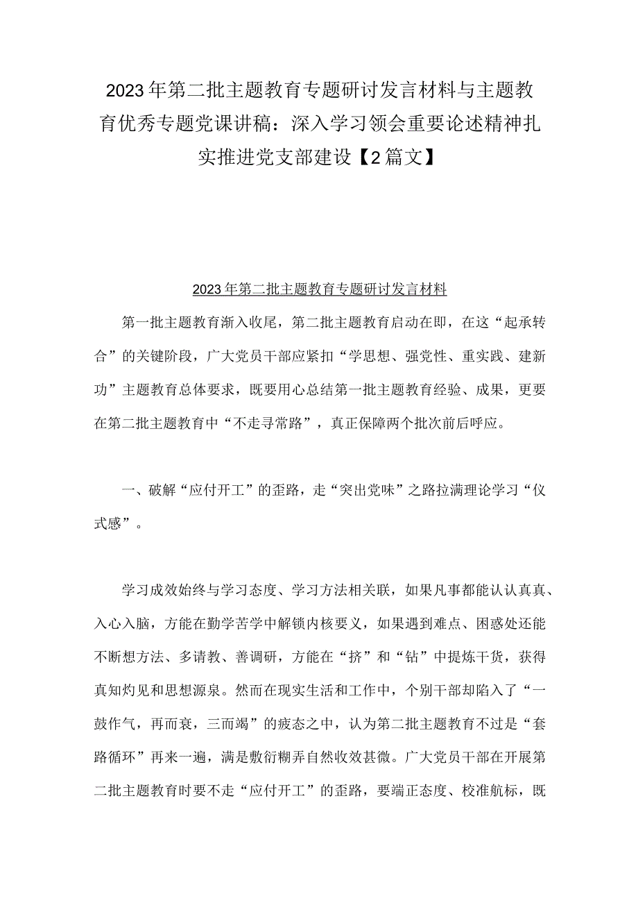 2023年第二批主题教育专题研讨发言材料与主题教育优秀专题党课讲稿：深入学习领会重要论述精神扎实推进党支部建设【2篇文】.docx_第1页