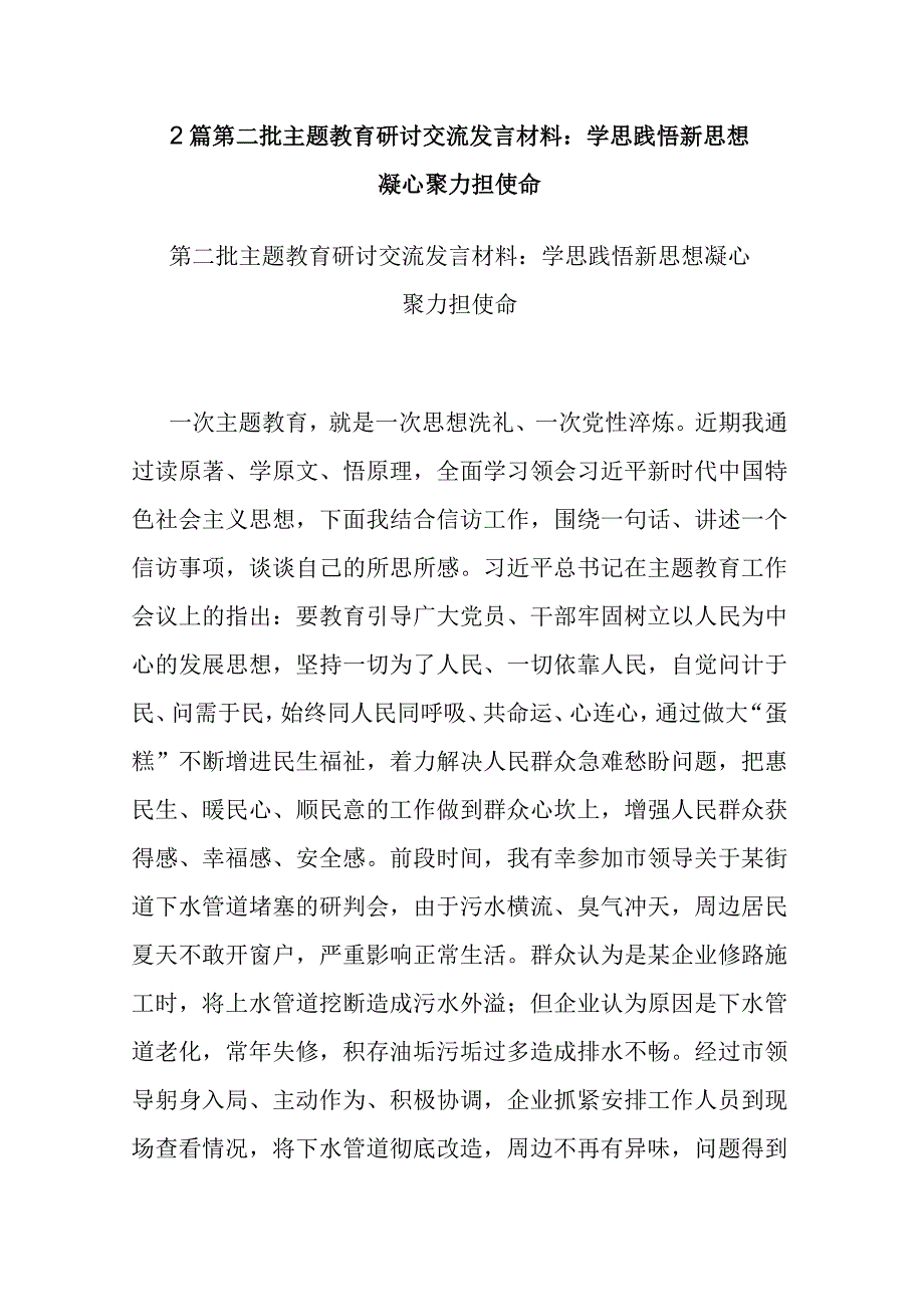 2篇第二批主题教育研讨交流发言材料：学思践悟新思想 凝心聚力担使命.docx_第1页