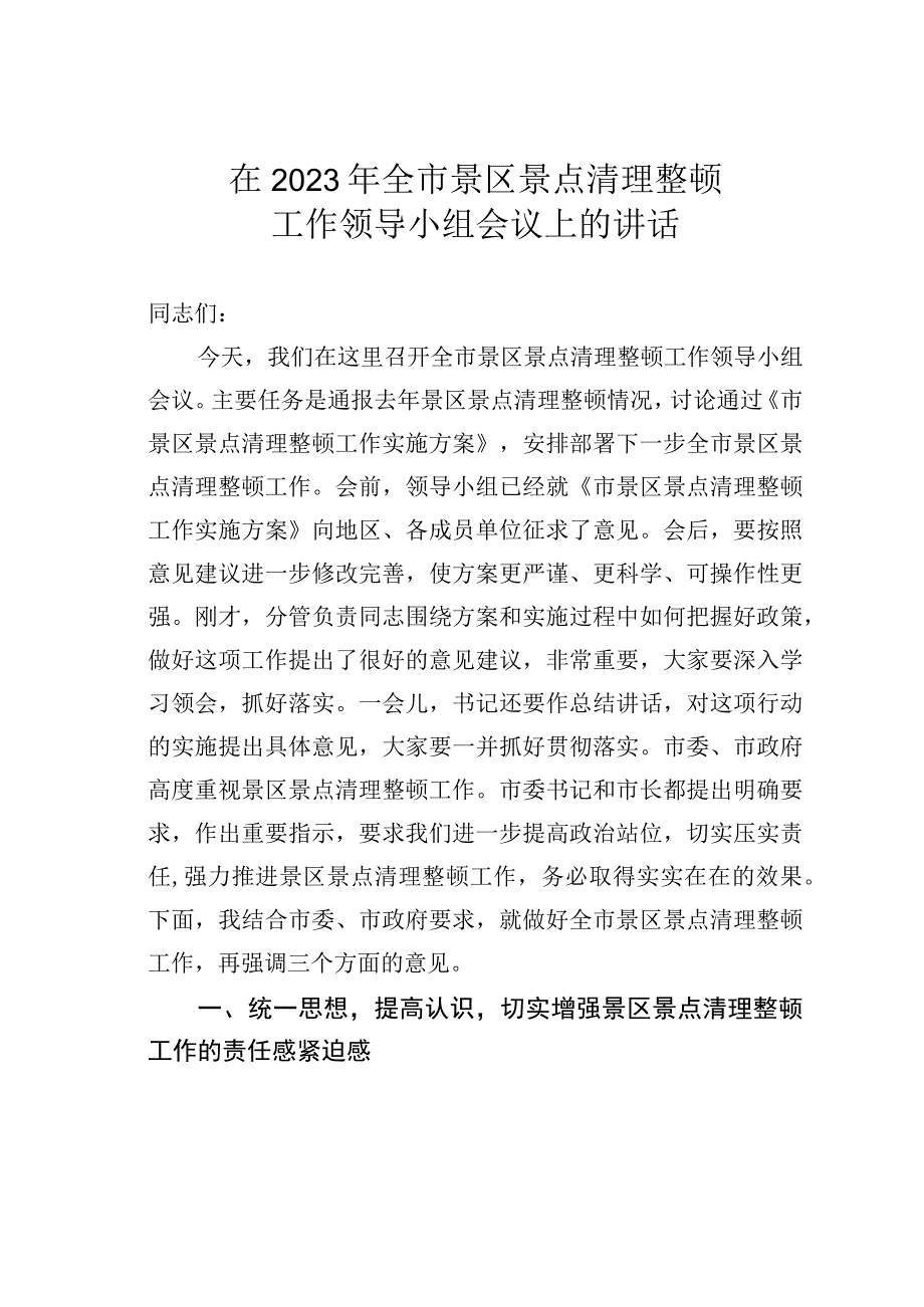 在2023年全市景区景点清理整顿工作领导小组会议上的讲话.docx_第1页