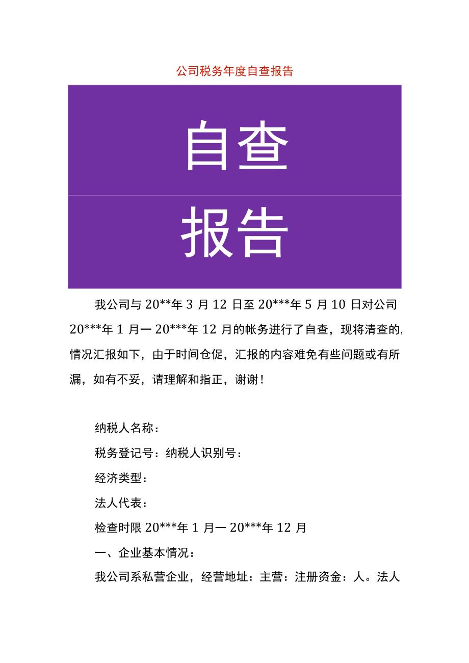 公司税务年度自查报告.docx_第1页