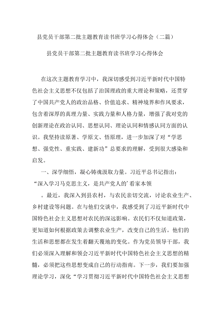 县党员干部第二批主题教育读书班学习心得体会(二篇).docx_第1页