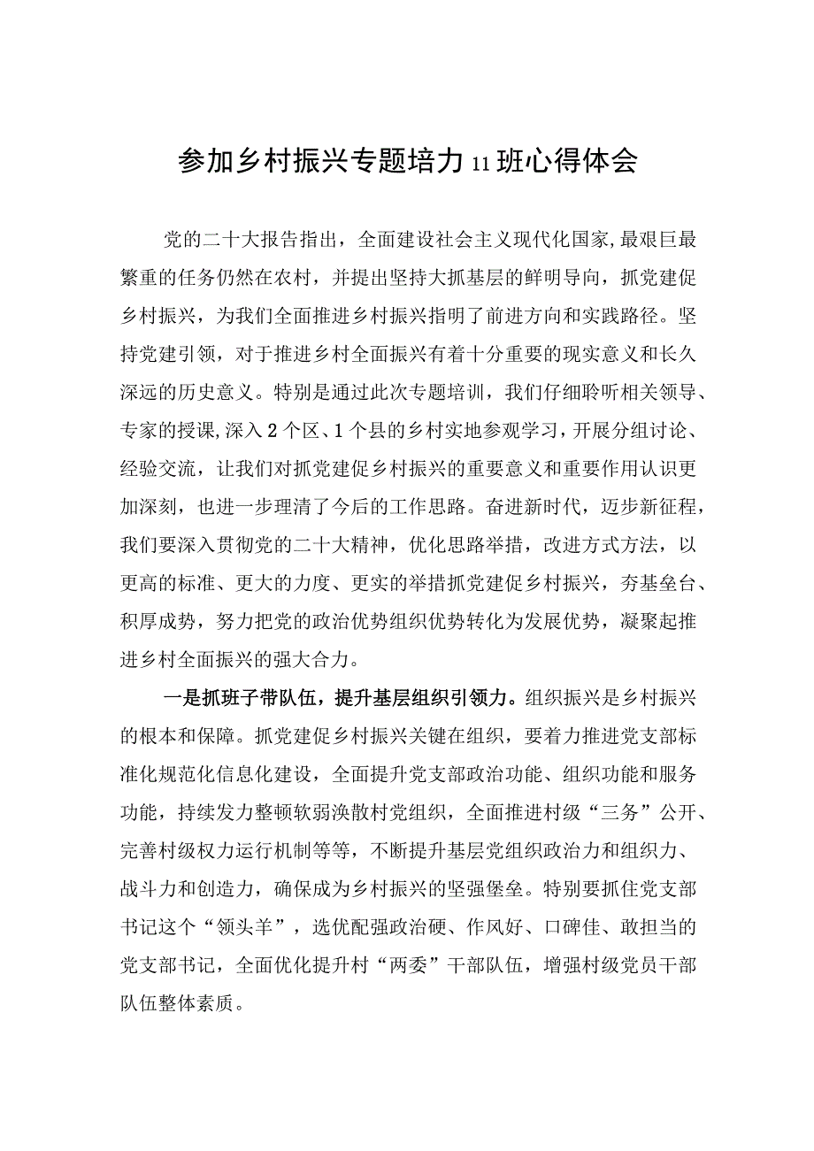 参加乡村振兴专题培训班心得体会.docx_第1页