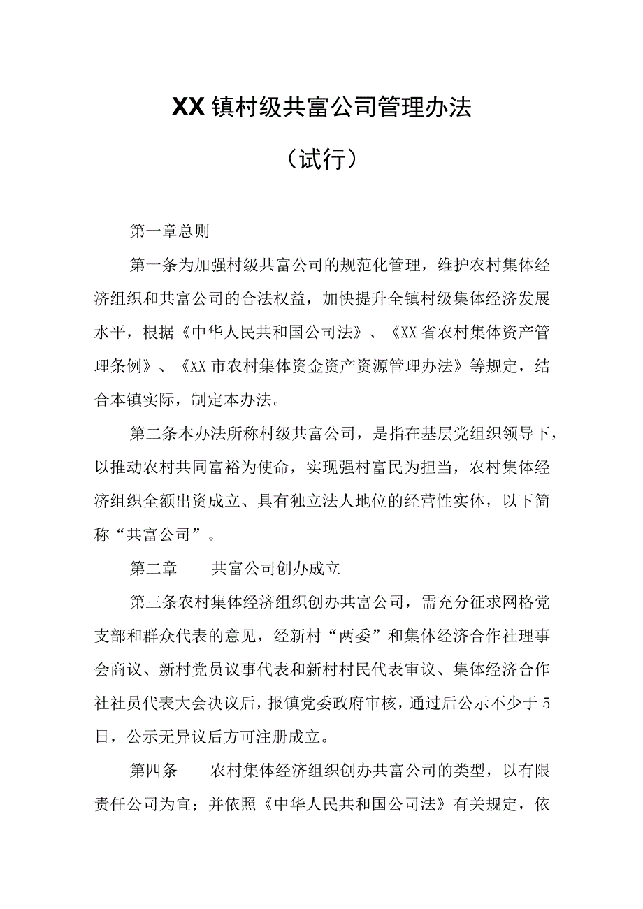 XX镇村级共富公司管理办法.docx_第1页