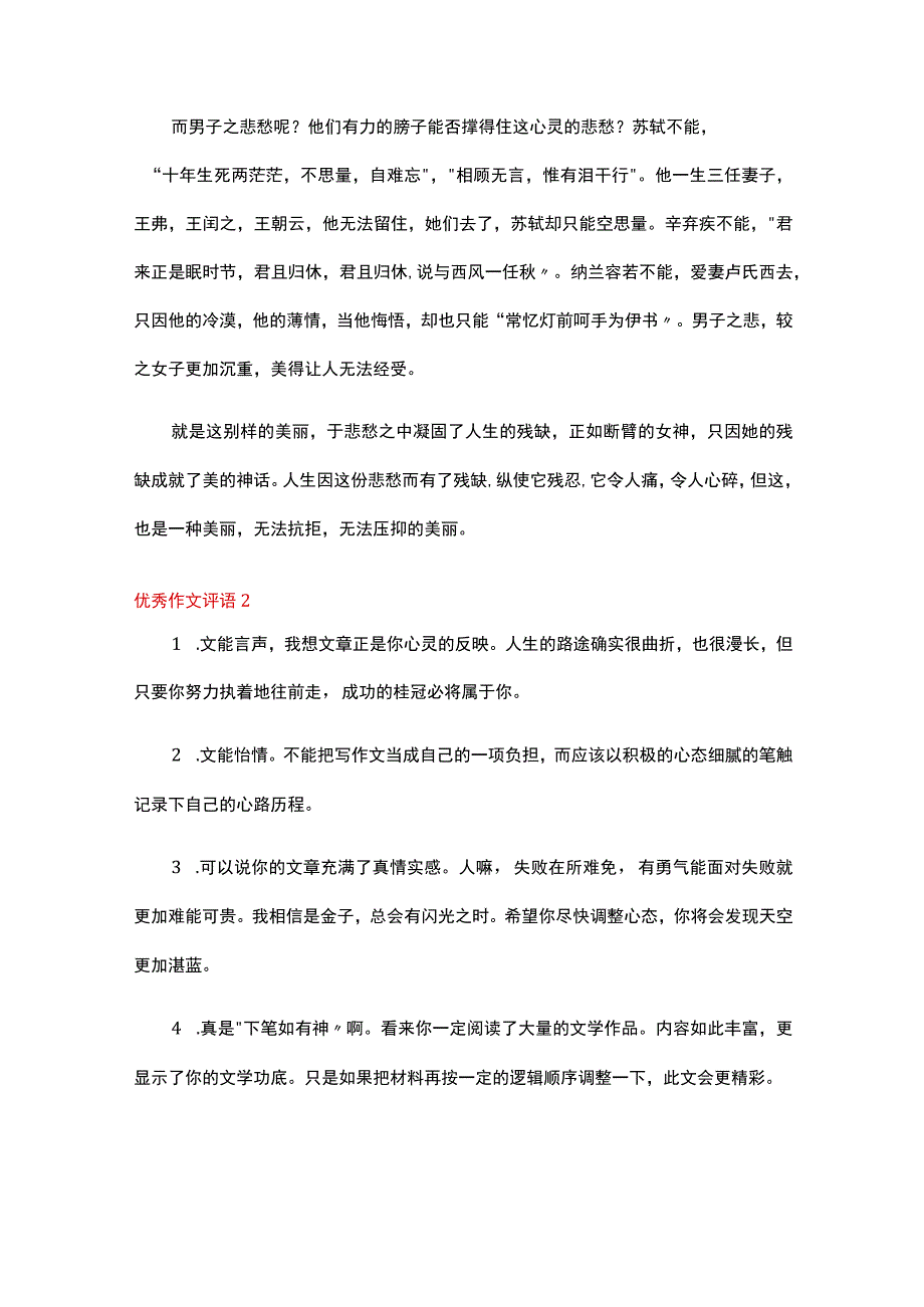 优秀作文评语(通用15篇).docx_第2页