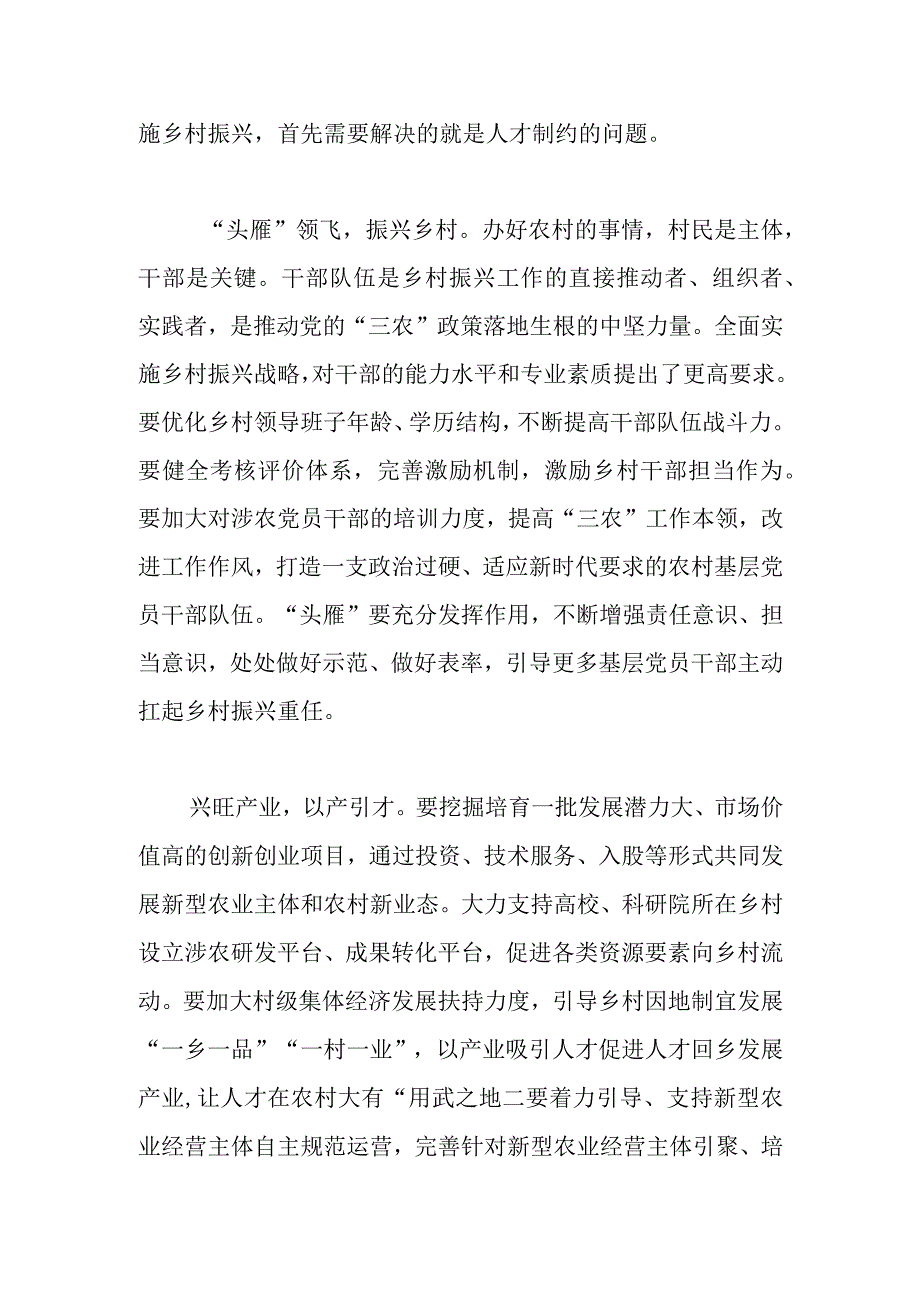 【常委组织部长中心组研讨发言】以人才振兴助推农村高质量发展.docx_第2页