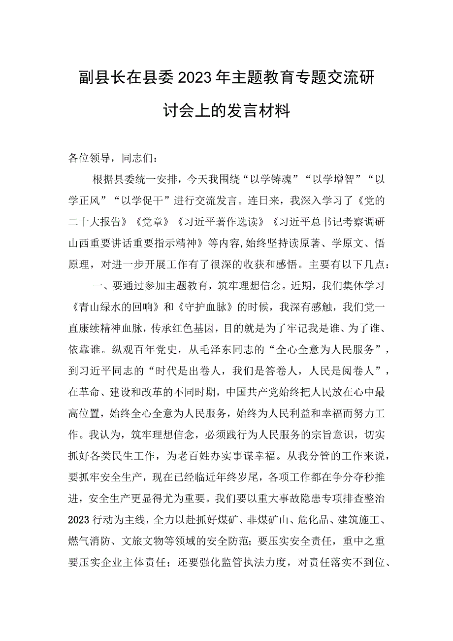 2023年副县长在县委2023年主题教育专题交流研讨会上的发言材料.docx_第1页