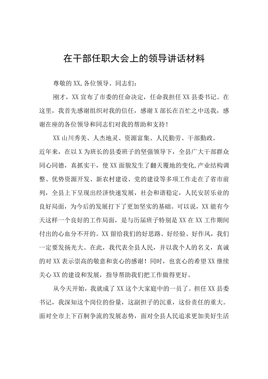 在干部任职大会上的领导讲话材料.docx_第1页